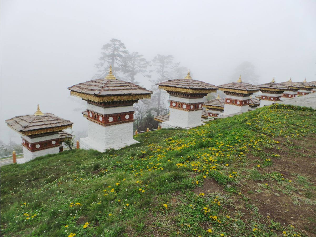 Dochula Pass11